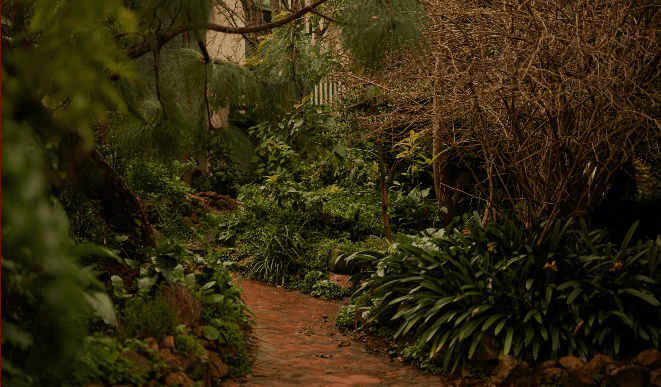 The Cherry Bomb Cafe garden verandah in the Adelaide Hills
