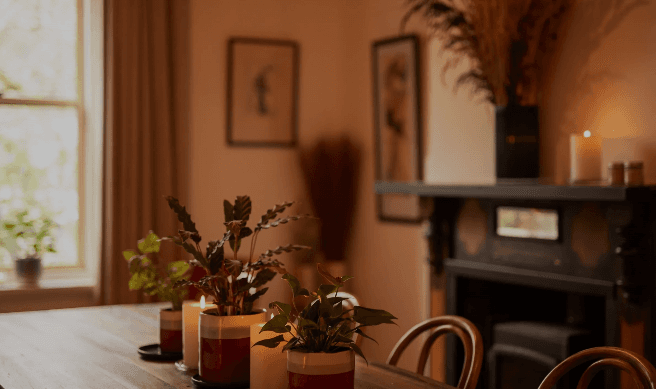 A warmly lit room inside Cherry Bomb Cafe with trailing plants and antique furnishings